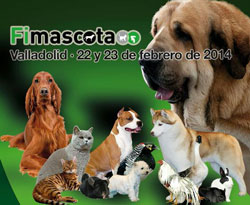 fimascota 2014